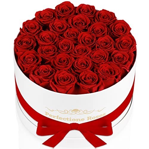 27 Preserved Red Roses in Box – Perfect Mother’s Day & Birthday Gift for Her