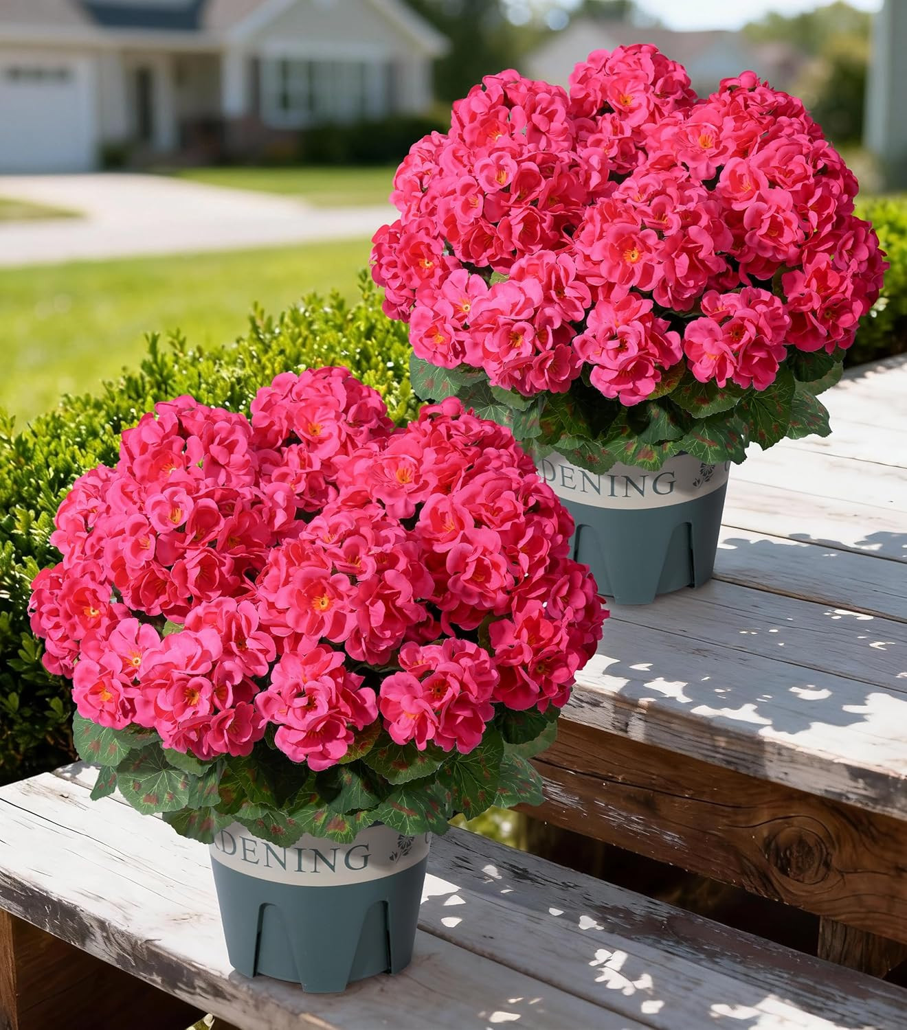 UV Resistant Hot Pink Geraniums – 2 Pack Faux Flowers for Indoor/Outdoor Use