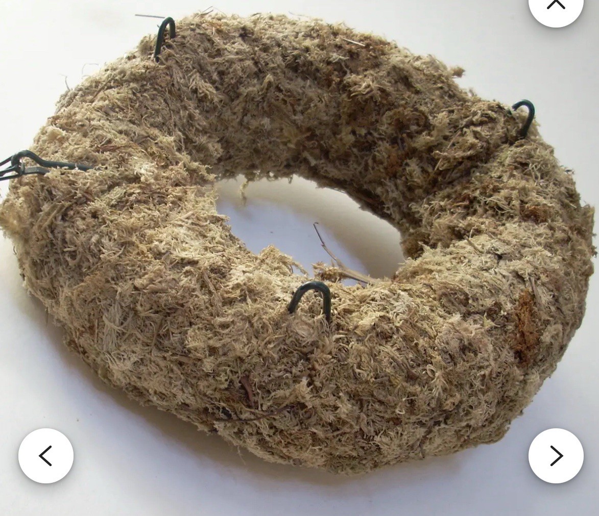 Sphagnum Moss Wreath 9” Diameter