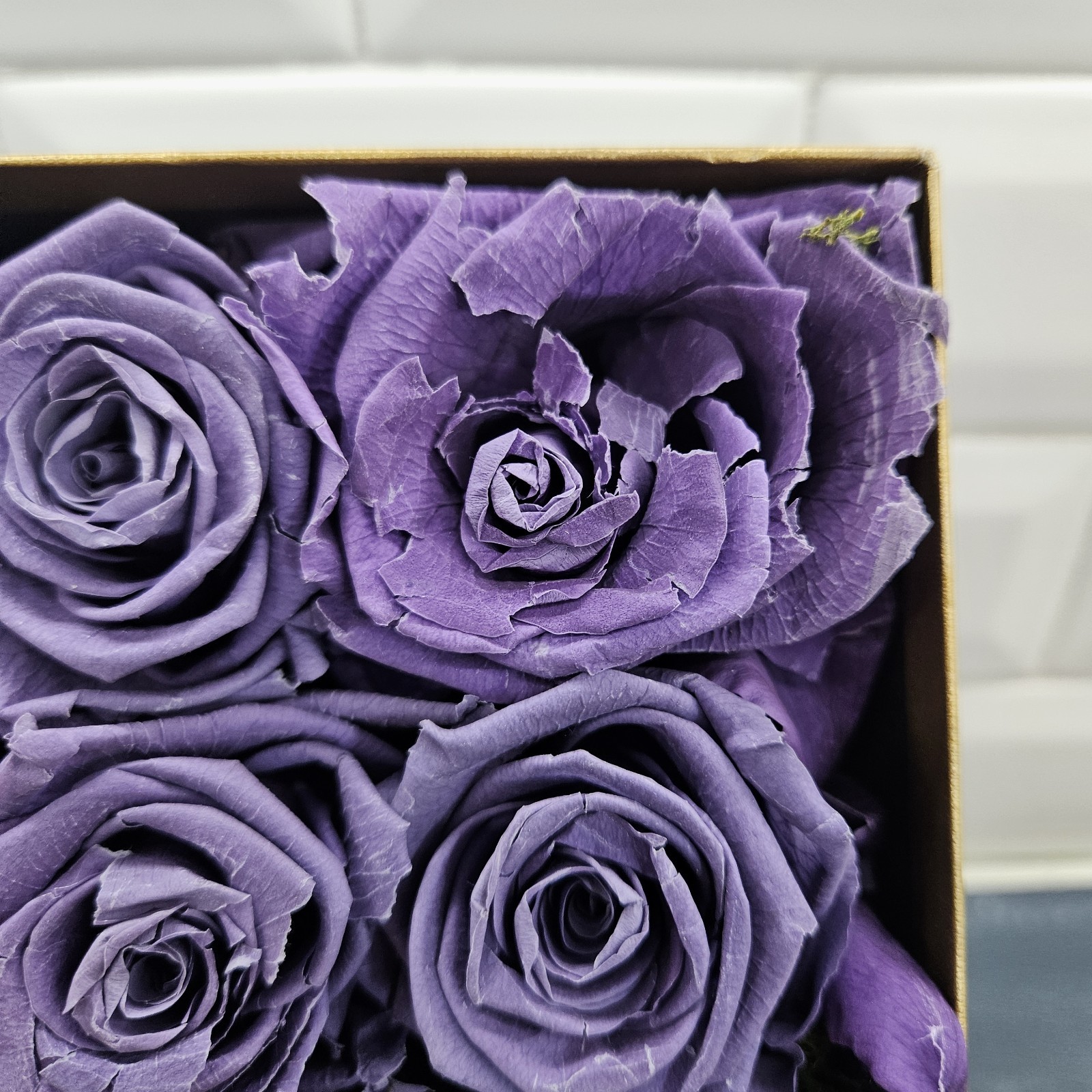 Forever Purple Roses Preserved Eternal Flowers Luxe Bloom 16 in Square Gift Box