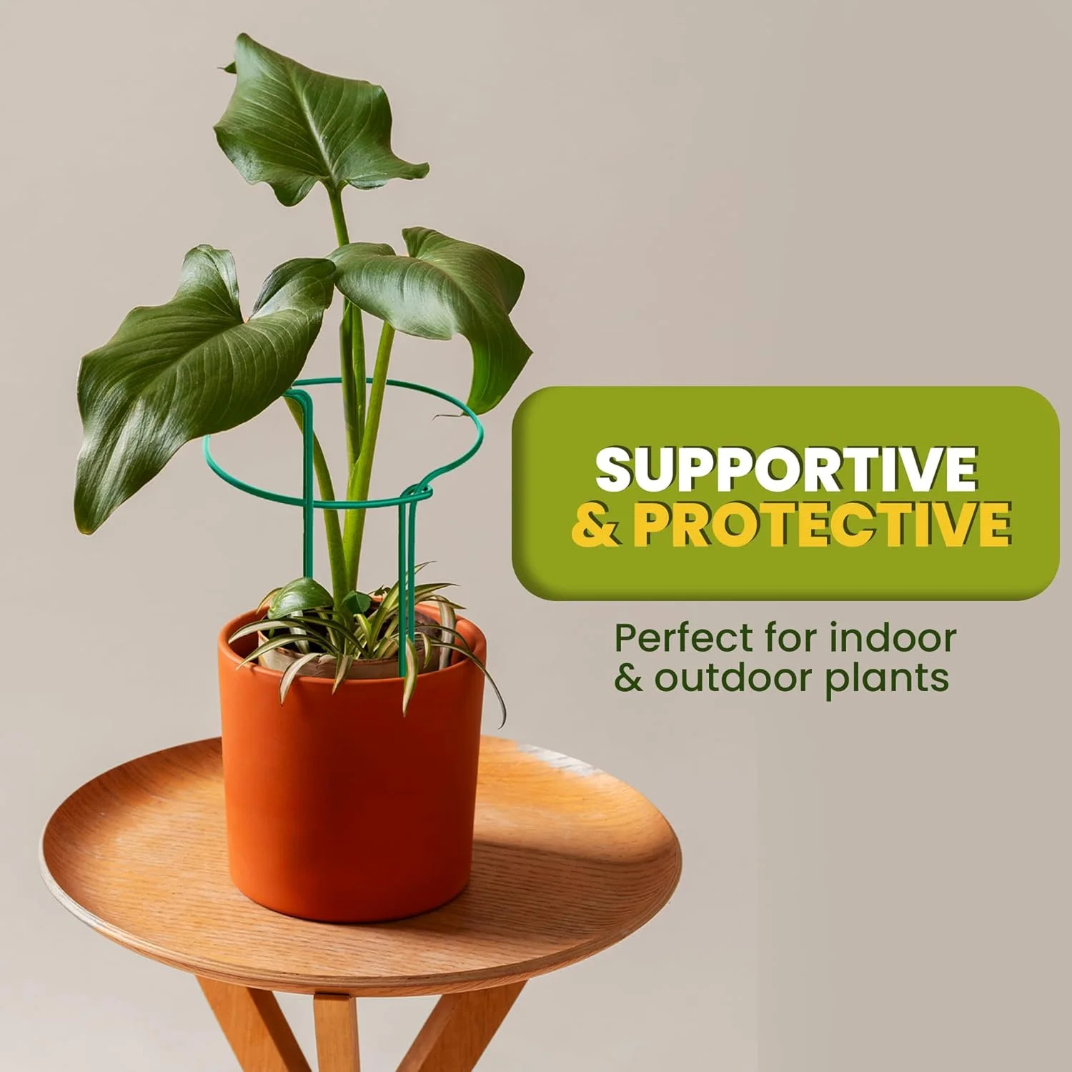 6 Pack Plant Support Stakes – Tall Plant Stakes for Indoor and Outdoor Gardens –