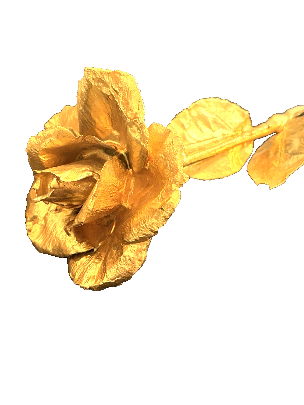 Real Natural Rose Flower Coated Preserved And Dipped In Gold