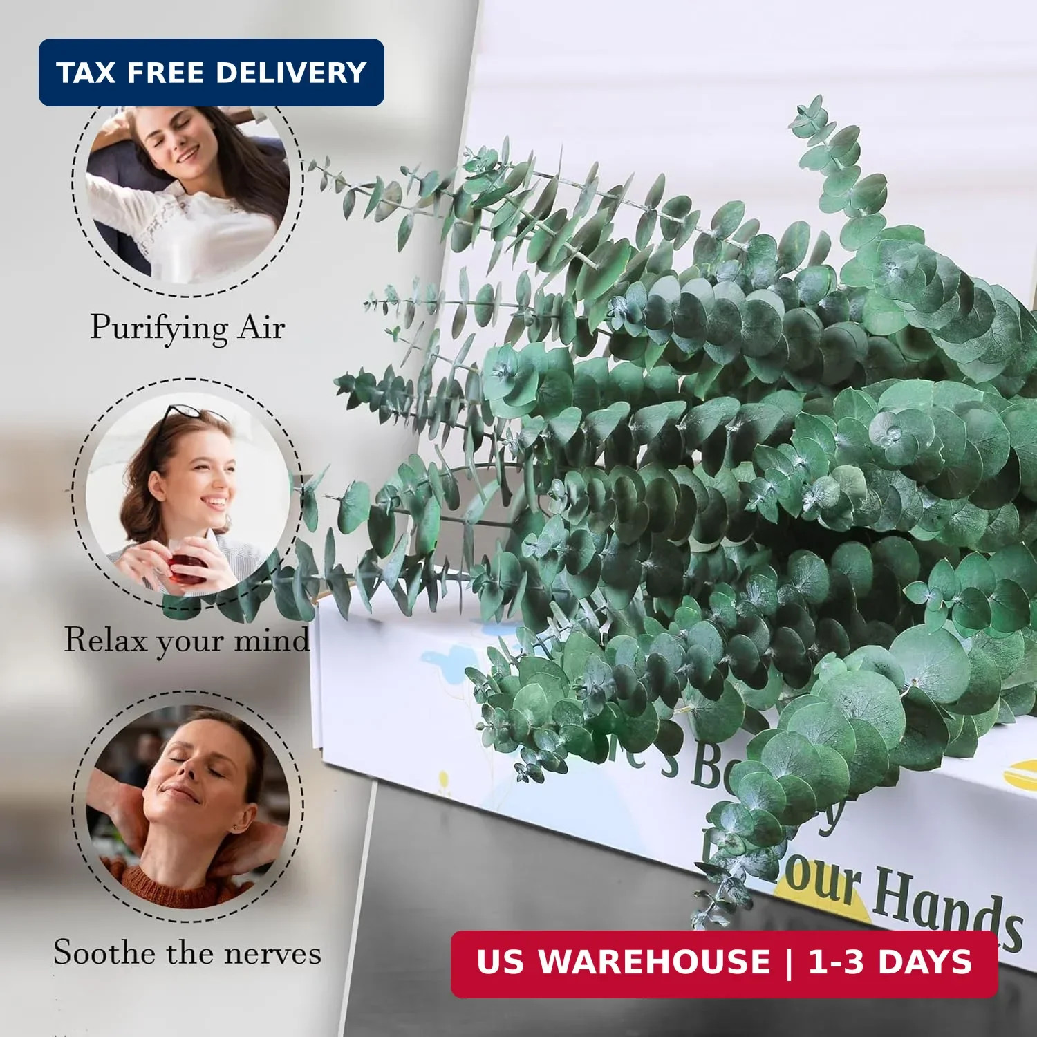 30Pcs Dried Eucalyptus Stems, 17″ Real Preserved Eucalyptus Plant for Shower, Fr