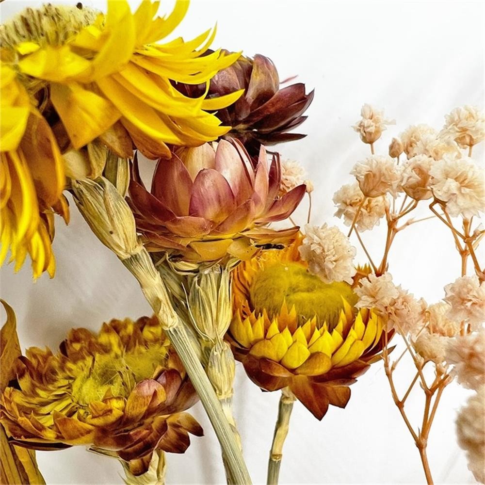 Pemberly Row 10-inch High Real Preserved Mixed Bouquets in Small Size