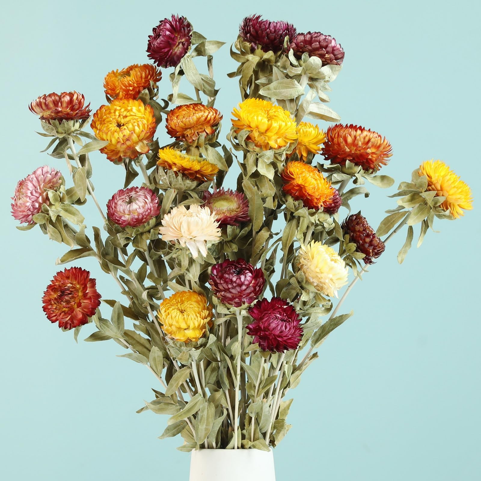 Natural Dried Daisy Flowers Bouquet 20 PCS Multicolor Decor DIY Craft Fall