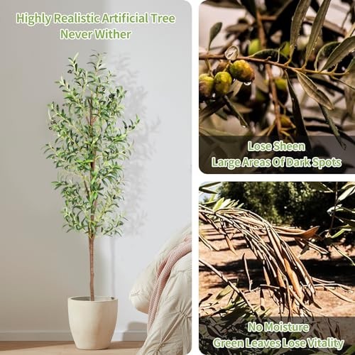 Artificial Olive Tree, 6FT Tall Faux Olive Trees 72in Outdoor Fake 6ft 1pack