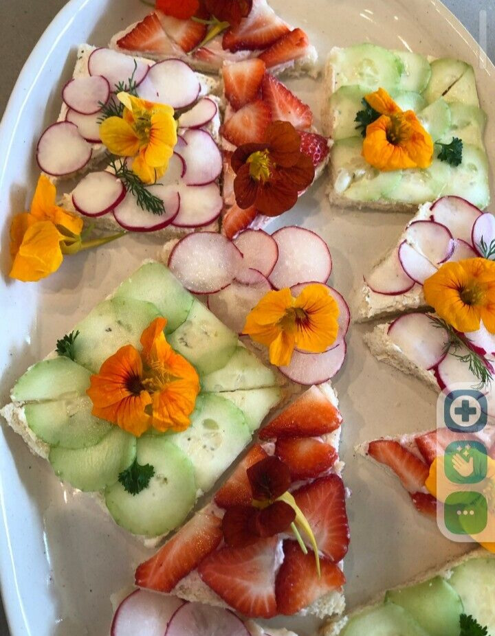 FRESH EDIBLE /GARNISH FLOWERS Multi Color Violas Free Overnight Ship WEDNESDAYS