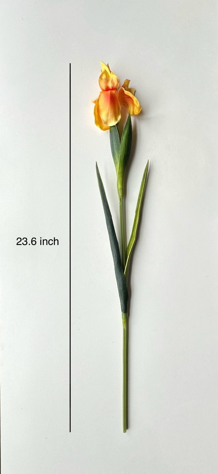 Fake Long Stem Iris Real Touch Artificial Flower (24 Stems)