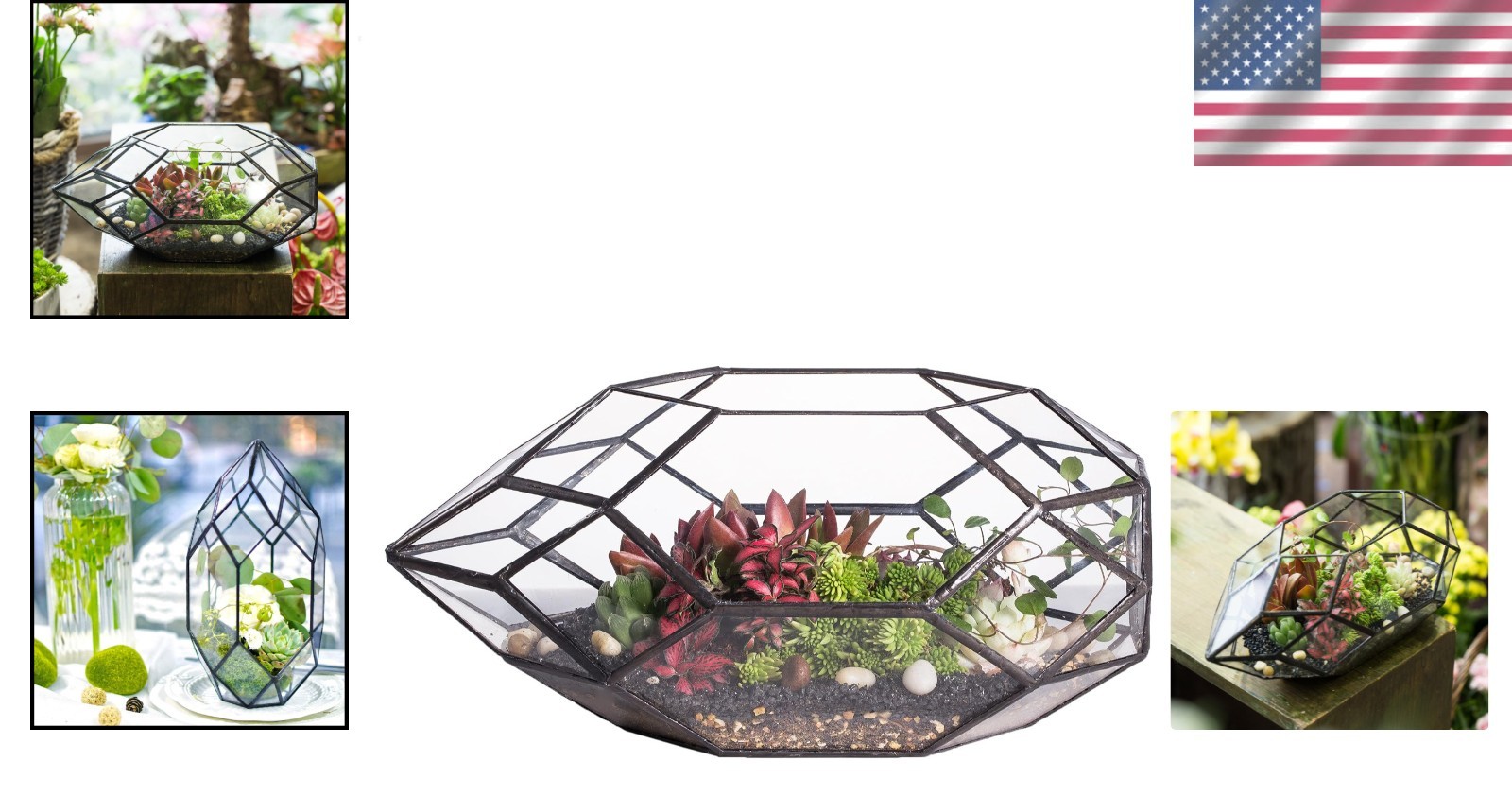 Contemporary 6.5×5.9×11 Glass Terrarium – Perfect for Succulents & Air Plants