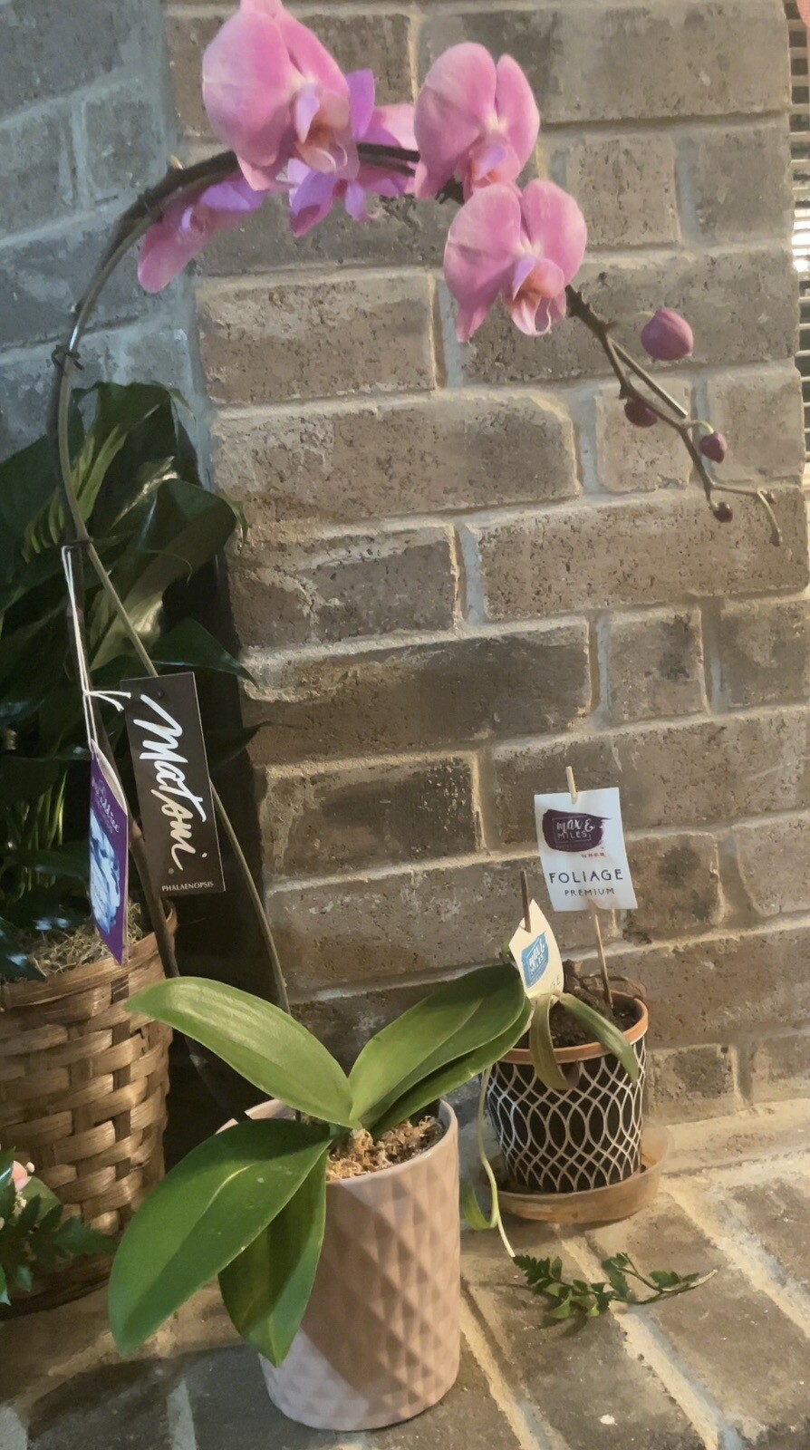 Fresh /Silk Floral Arrangements