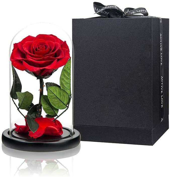 Preserved Real Rose in Glass Dome