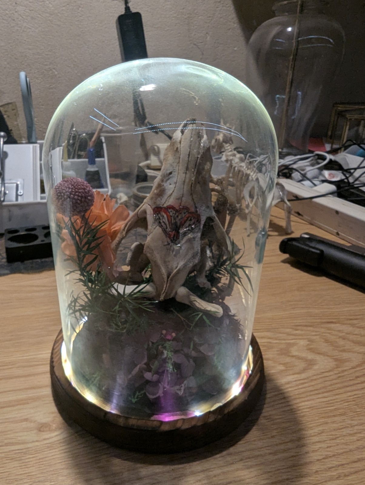 Decorative Glass Dome with Animal Skull and Floral Arrangement