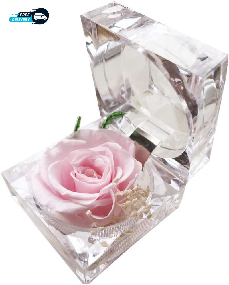 Preserved Rose Real Forever Rose in Mini Clear Ring Box, Eternal Flower Rose Gif