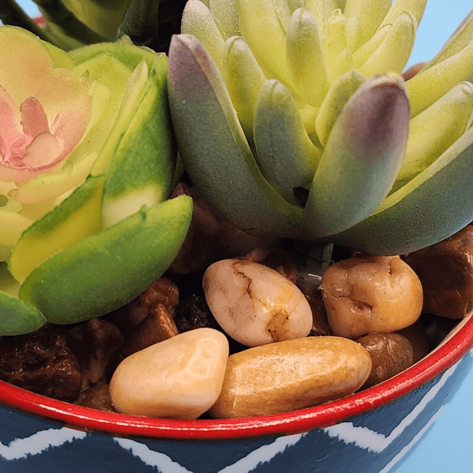 Faux Succulent Simulated Potted Plant Black White Red Chevron Pot Rock Accents