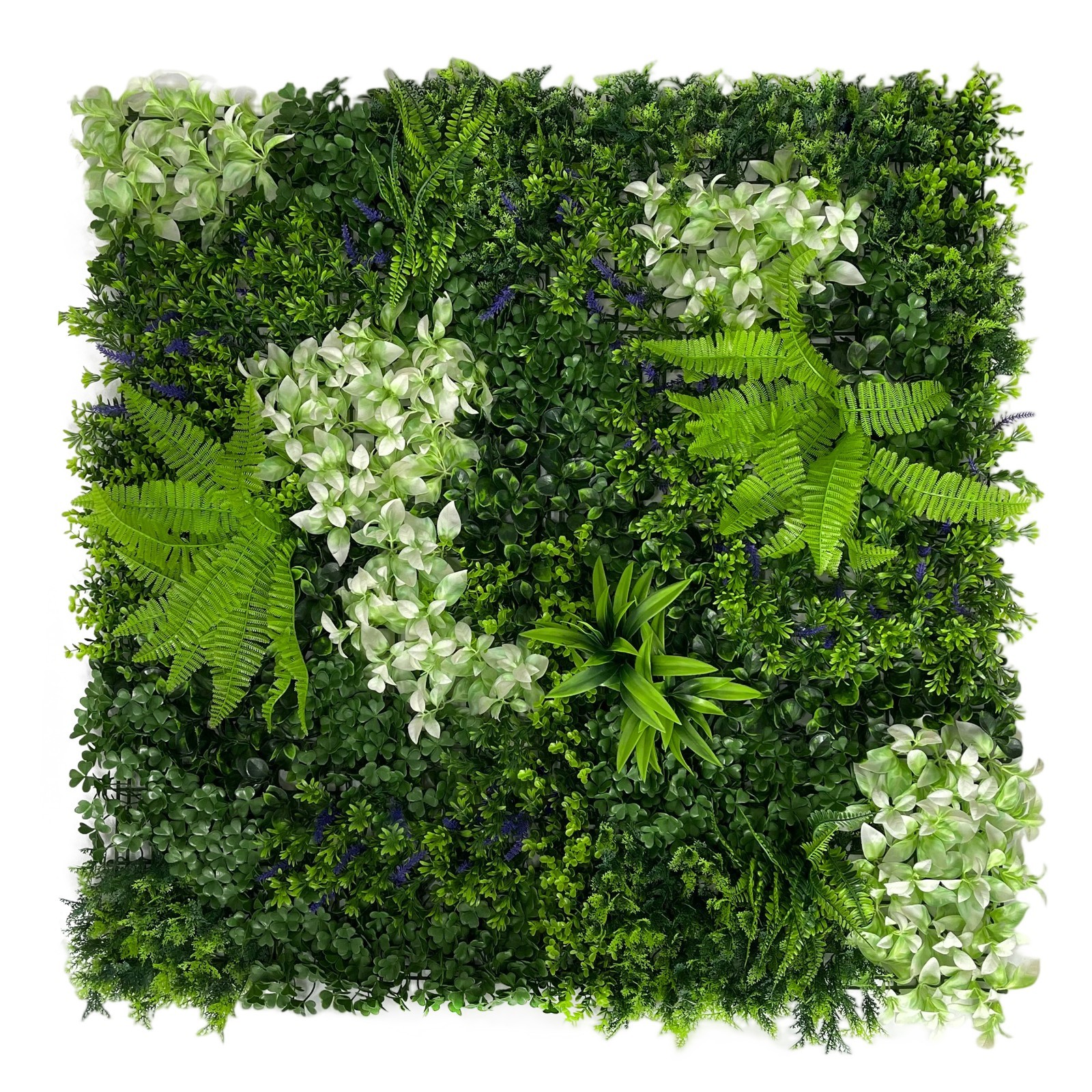 1x1mt Vertical, Green Wall, With Blue and White Flowers, Artificial Plants