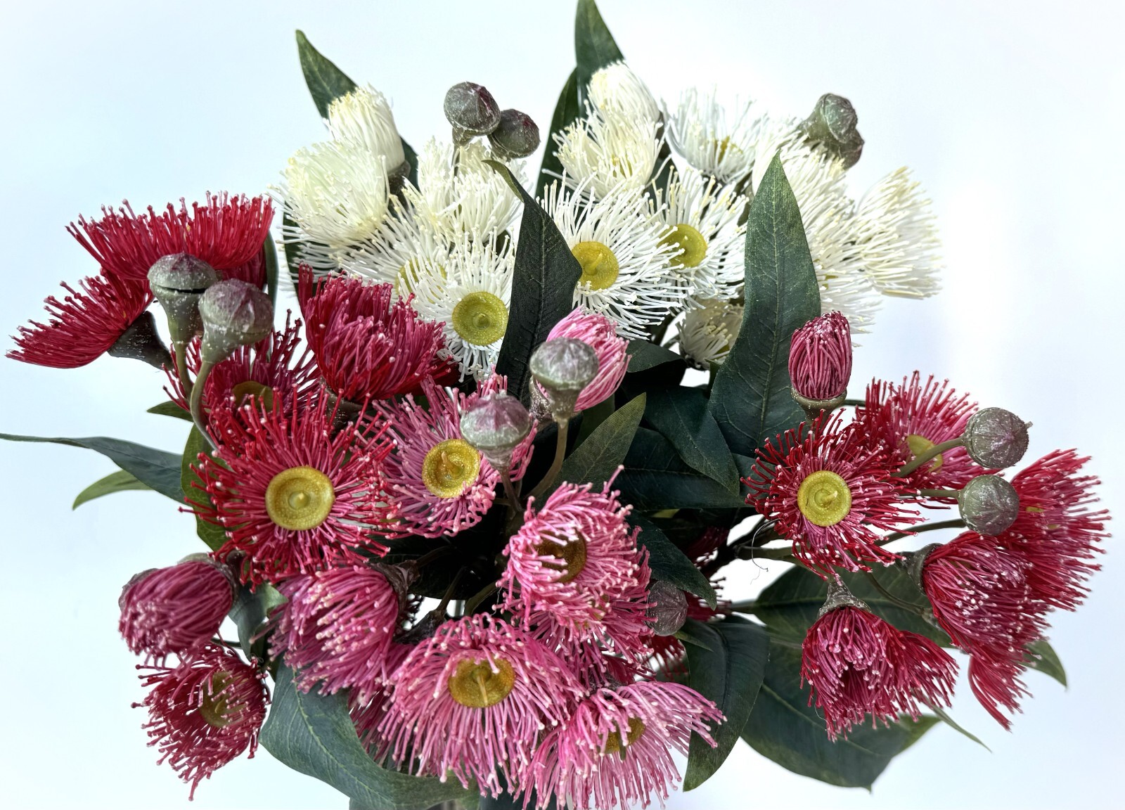 Australian Native Flower Gum Blossoms Stem Eucalyptus Pink Cream Red Blossoms x1