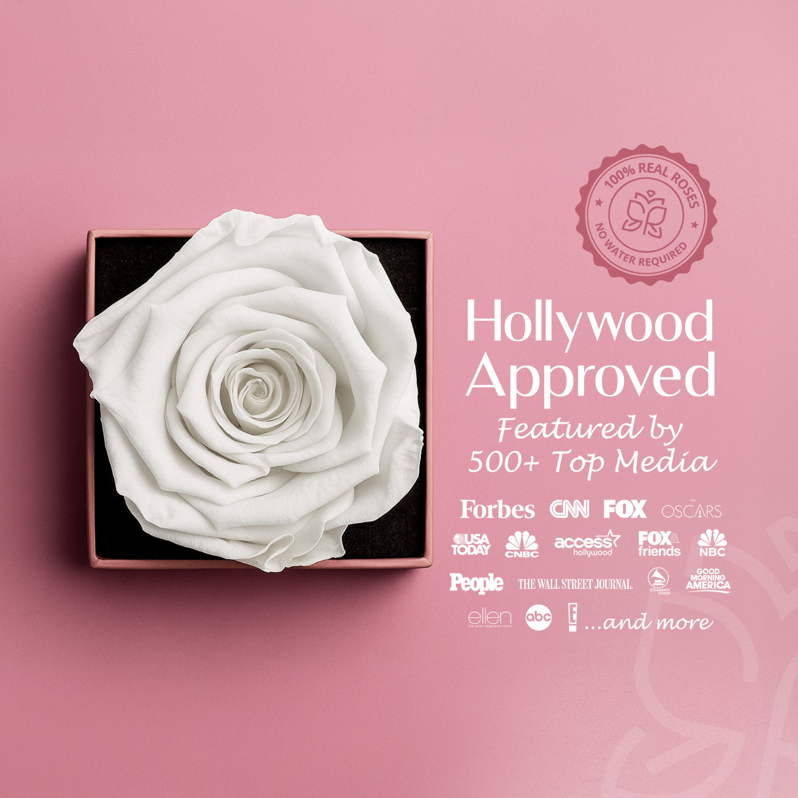 Speaking Roses Preserved Rose in Gift Box | “Happy birthday!” Message