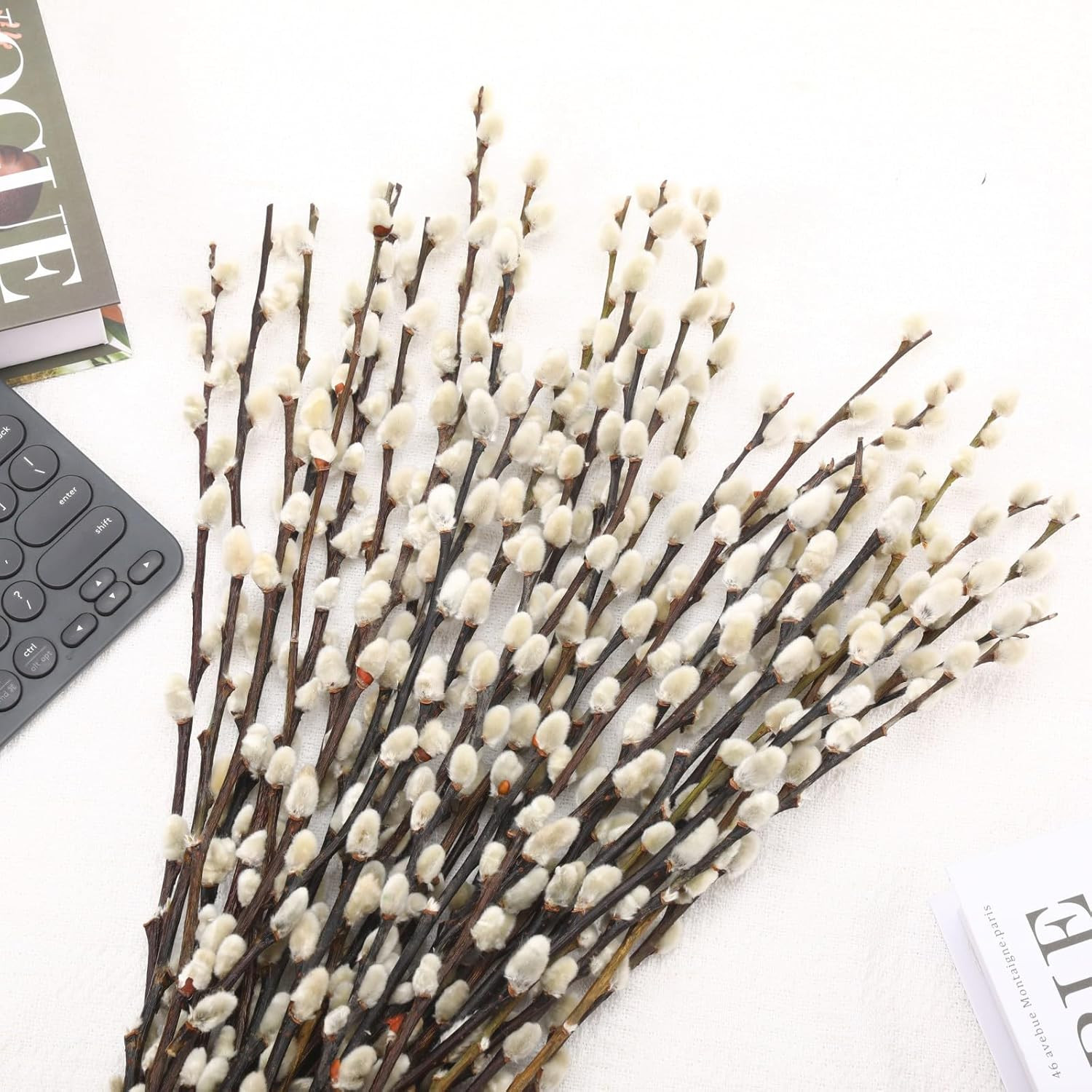 Natural Preserved Dried Pussywillow Branches for Vases, 15 Stems Real Willows, 1