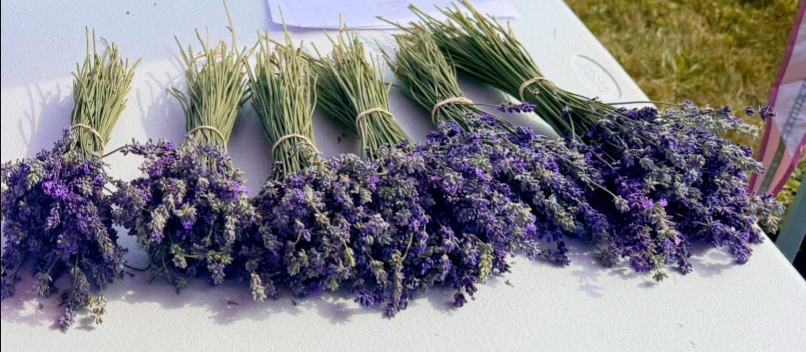 Dried Lavender Flowers Bundle Fragrant USA Farm Grown Wedding Decor Gift Bunch