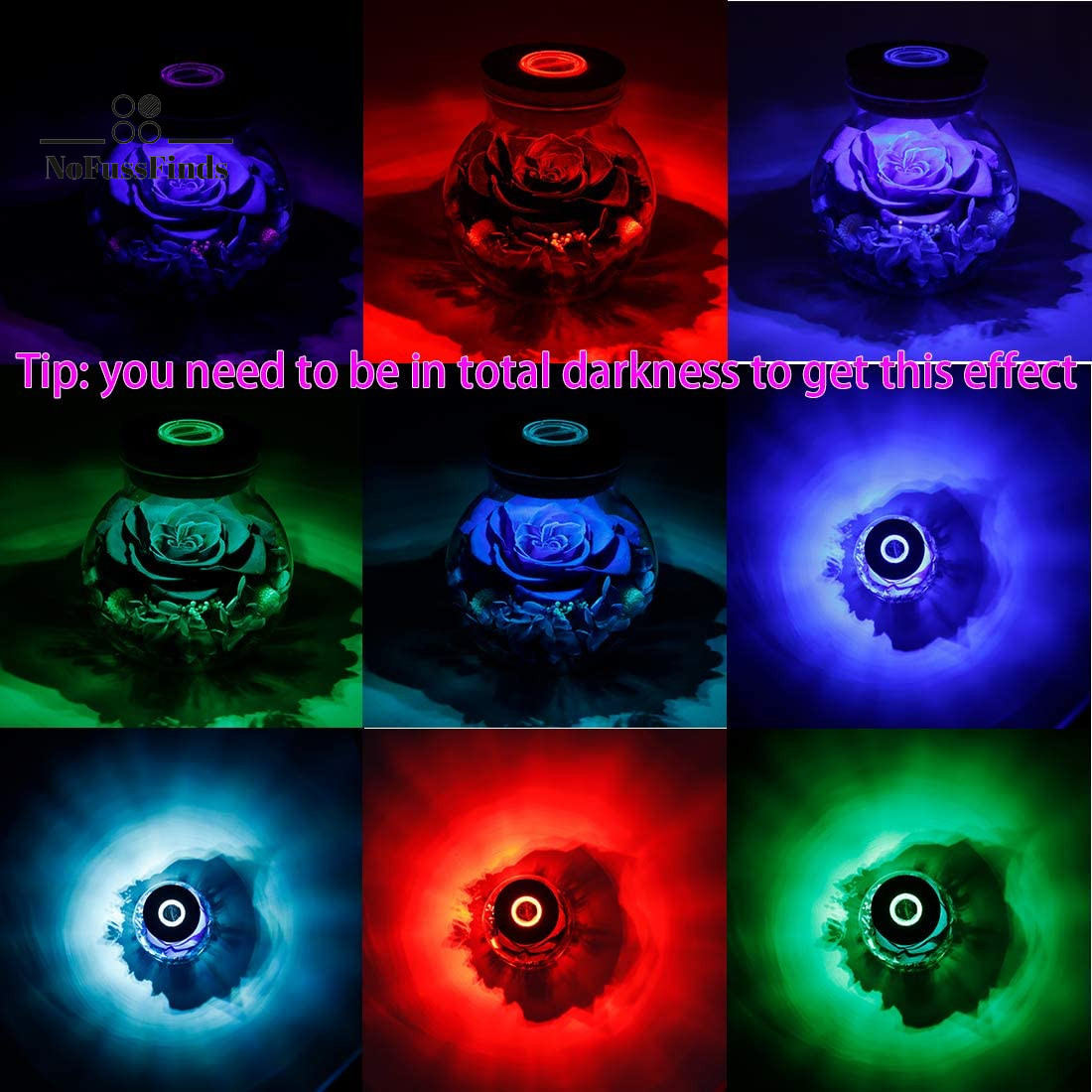 Preserved Real Roses with Colorful Mood Light Wishing Bottle, Eternal Rose，Never