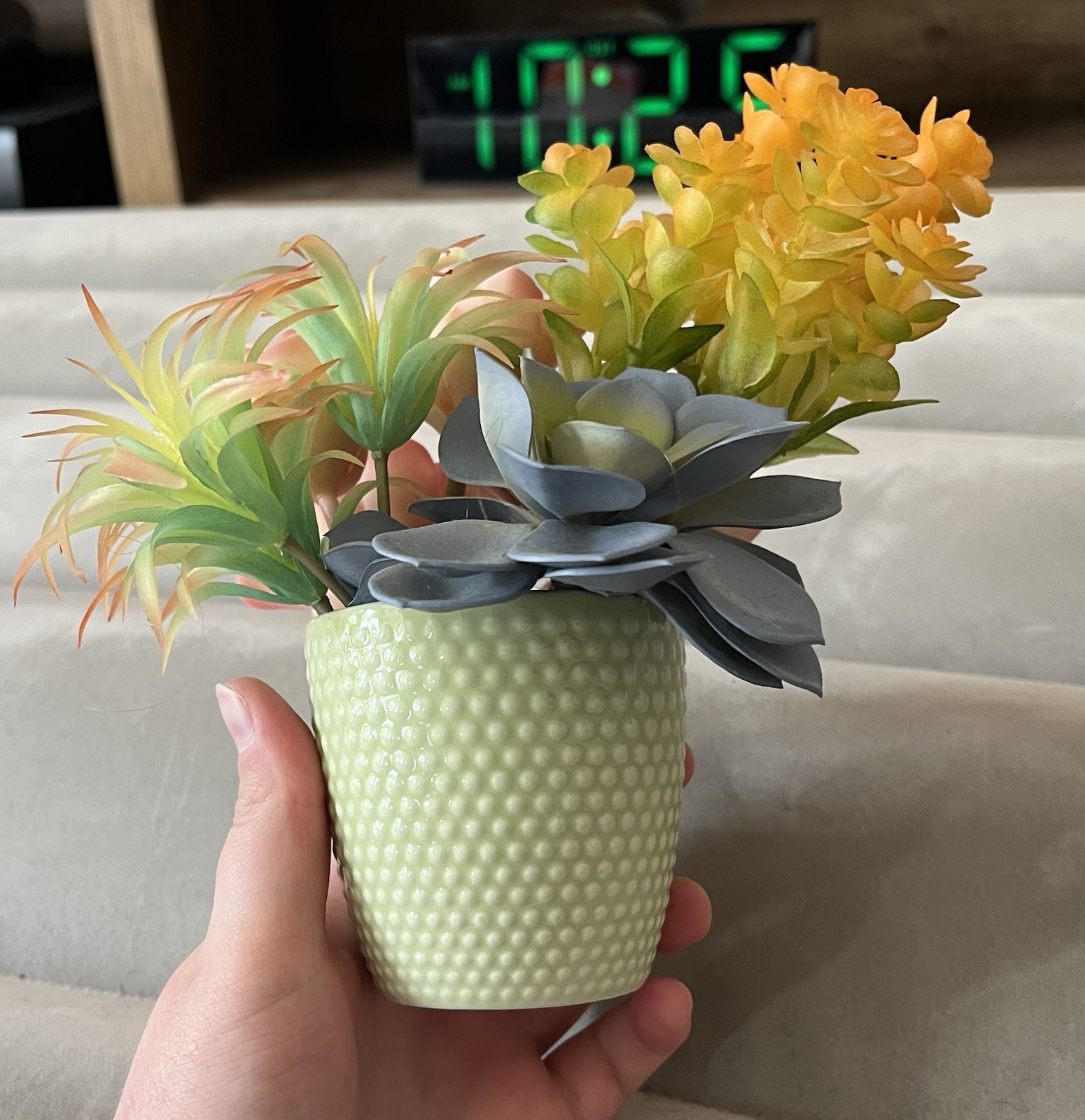 Artificial Succulent Floral Arrangement, Textured Light Green Pot, Mixed