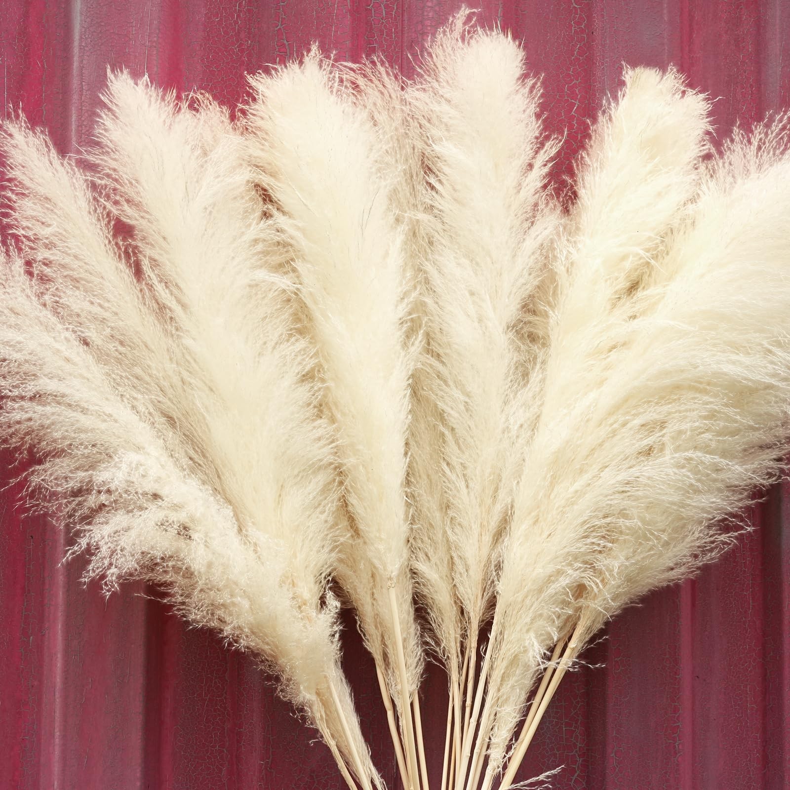 10pcs 40” White Pampas Grass Tall Decor – Pompas Floral, Tall Pampas Grass f…