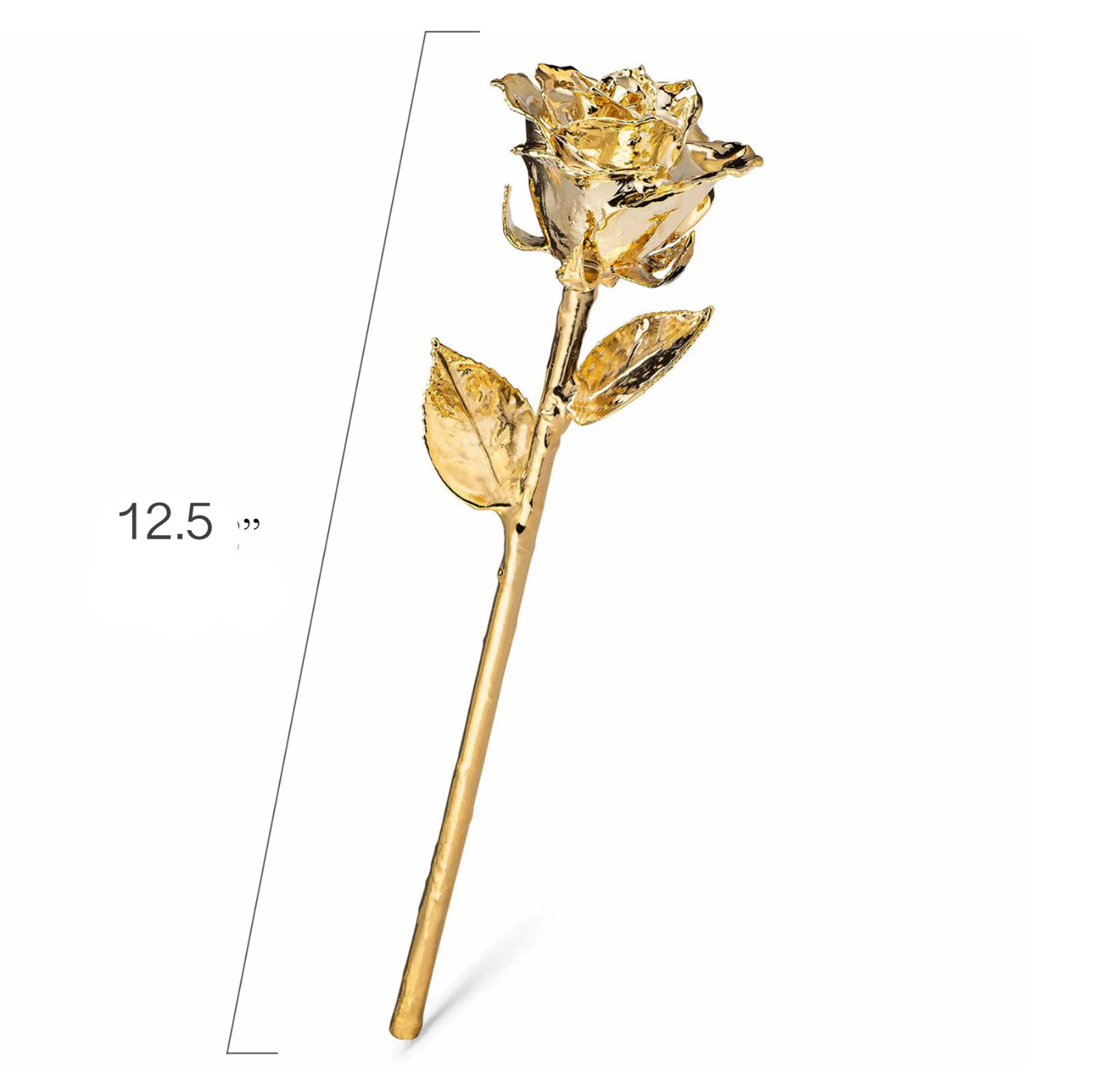 24K Gold Dipped Real Rose Handpicked Real Rose Preserved in 24K Gold USA