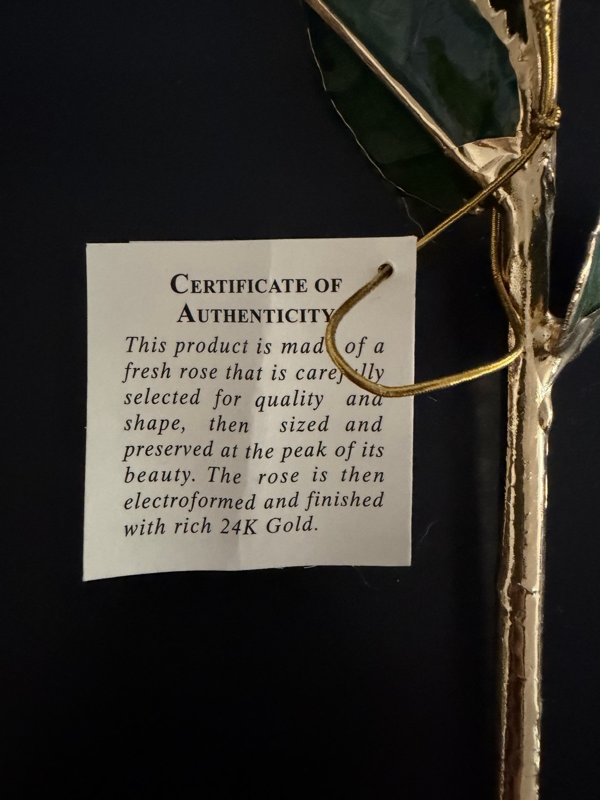 Living Gold Real Rose Dipped in 24K Gold Flower Stem, Gold/Green/White.