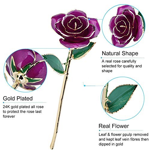 ZJchao 24K Purple Rose for Her, Eternal Eternity Love Real Gold Plated Rose