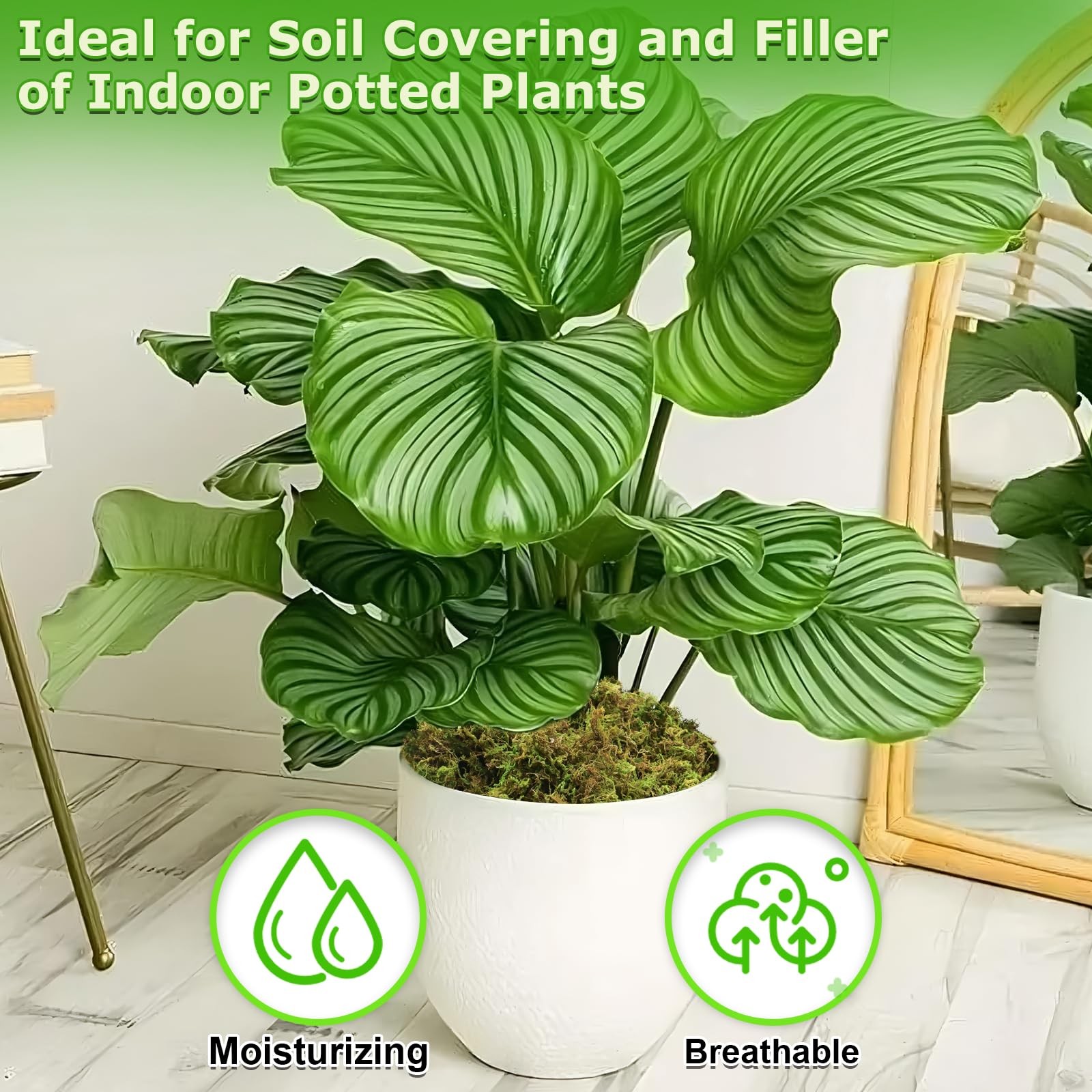 1 PCS 3.5 OZ Green Moss For Indoor Artificial Plants Crafts Faux Decor