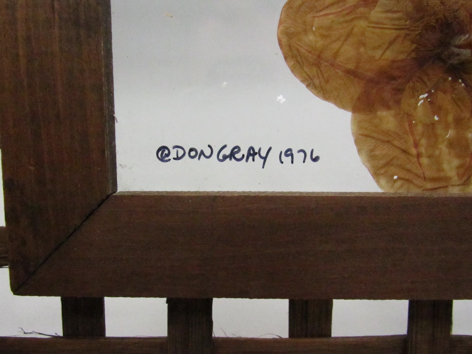 Vintage Don Gray 1976 Dried Floral Glass Pressed Art Wall Hanging Wood Frame