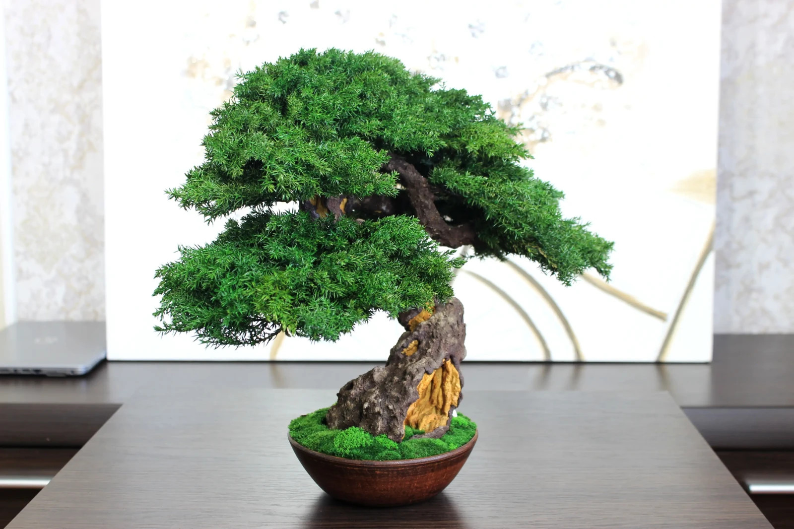 Exclusive Preserved Juniper Bonsai – Interior Art Sculpture. 37 cm / 14,6″