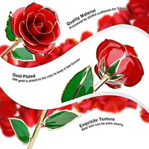 Unique 24K Gold Rose Gift Set with Transparent Stand – For All Occasions