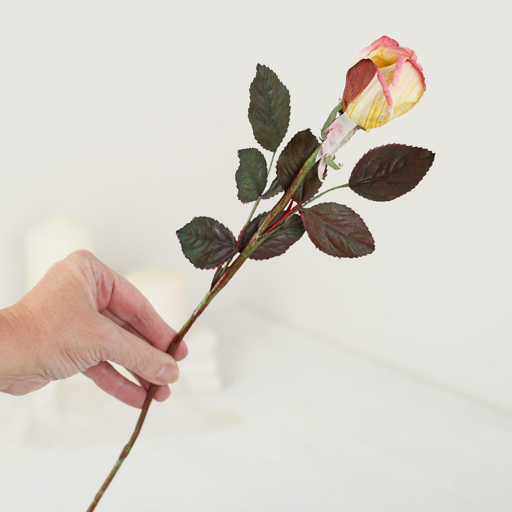 Dried Cream and Pink Artificial Rosebud Stem Flowers