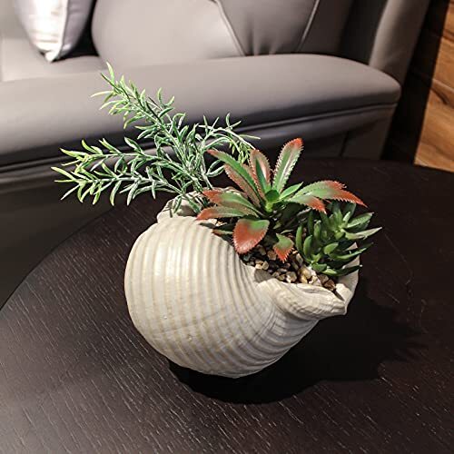 FAUX SUCCULENTS Conch Sea Shell Coastal Beach Decorations ACCESSORYWAY
