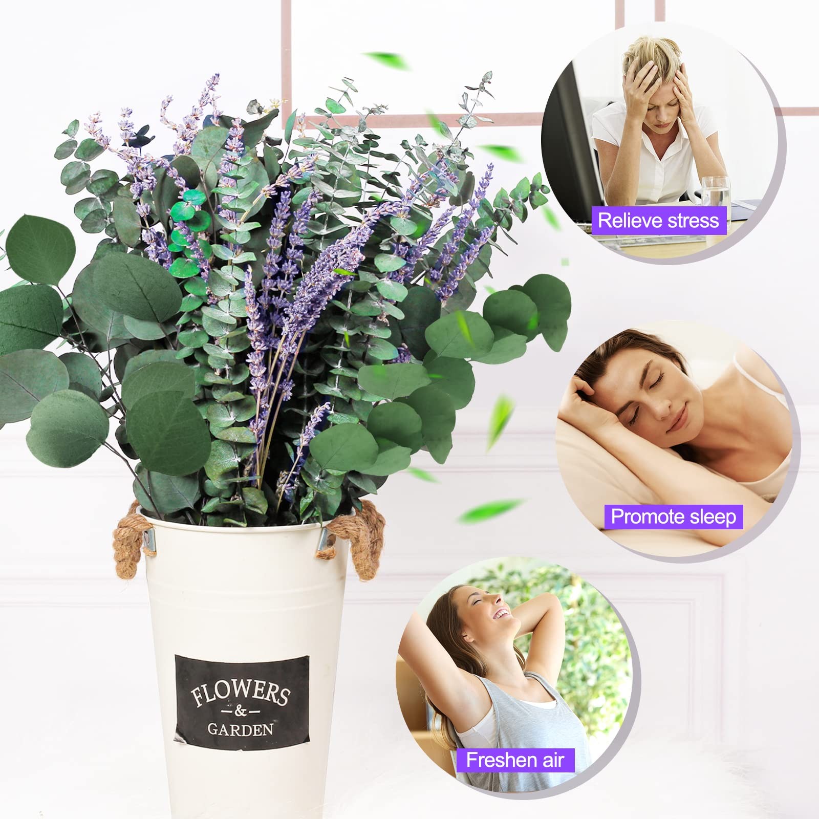 115 PCS Large Dried Preserved Eucalyptus Stems & Lavender Flowers Bundle for …