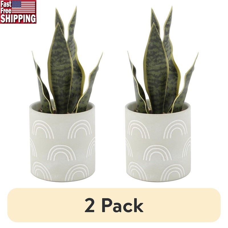Tabletop Artificial Snake Plant in Rainbow Print Terracotta Pot Indoor Decor New