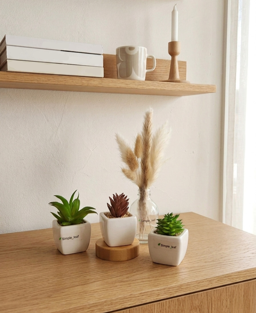 Decor Set – 3 Potted Artificial Succulent, Dried Grass Bouquet in Glass Bottle
