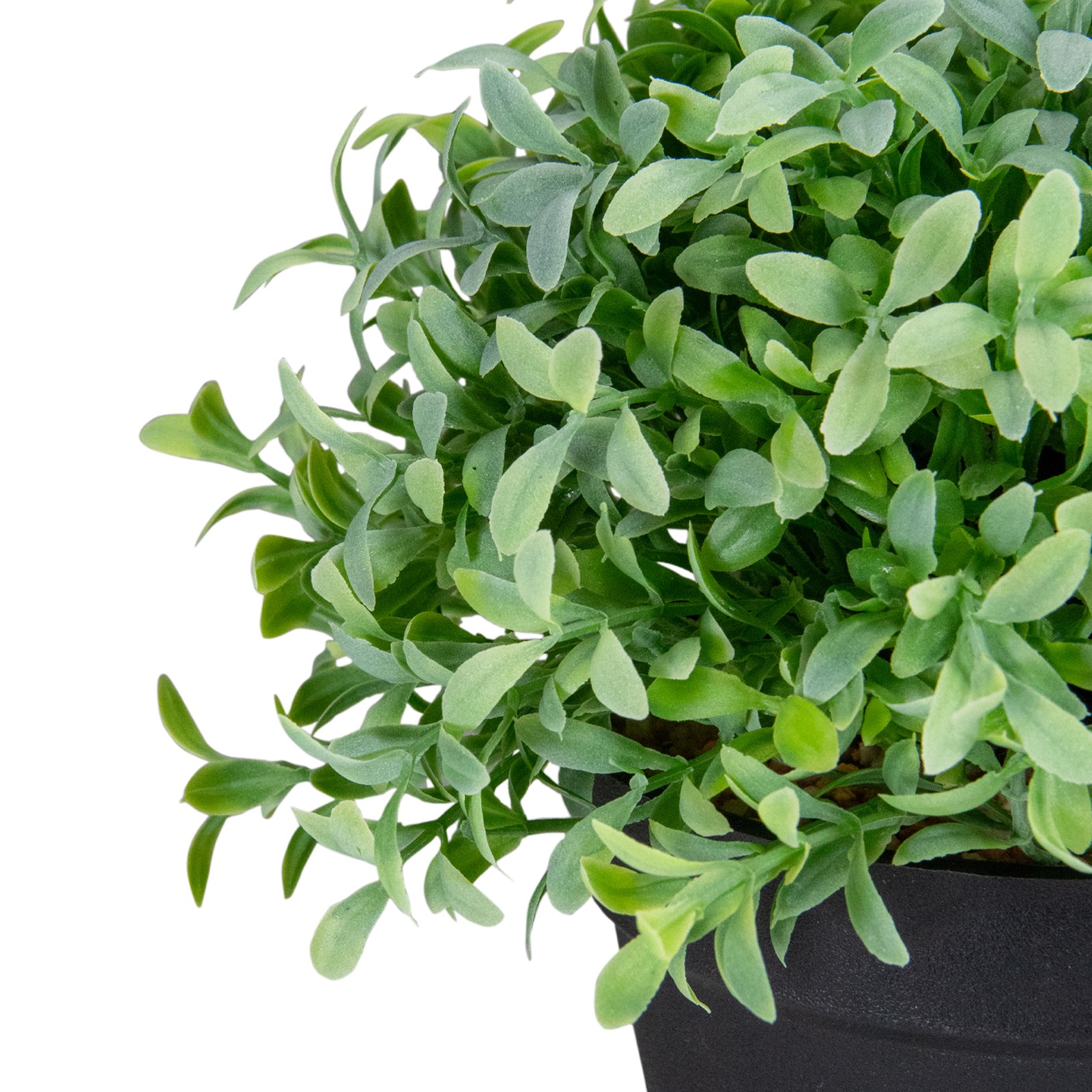 Northlight 7.5″ Potted Green Artificial Boxwood Plant in Black Pot
