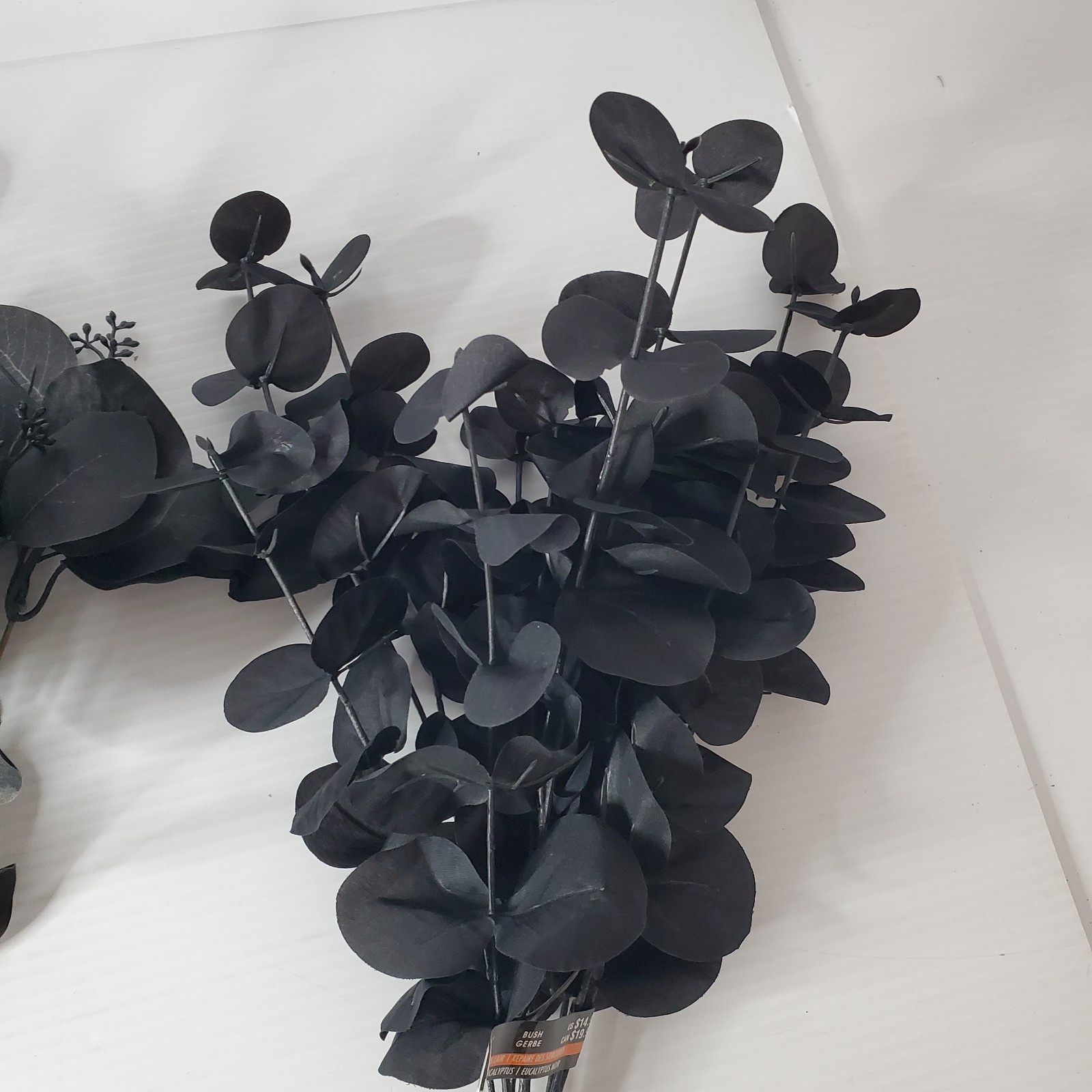 Ashland Halloween Gothic Black Eucalyptus Bush Lot Set Of 3 Witches Lair