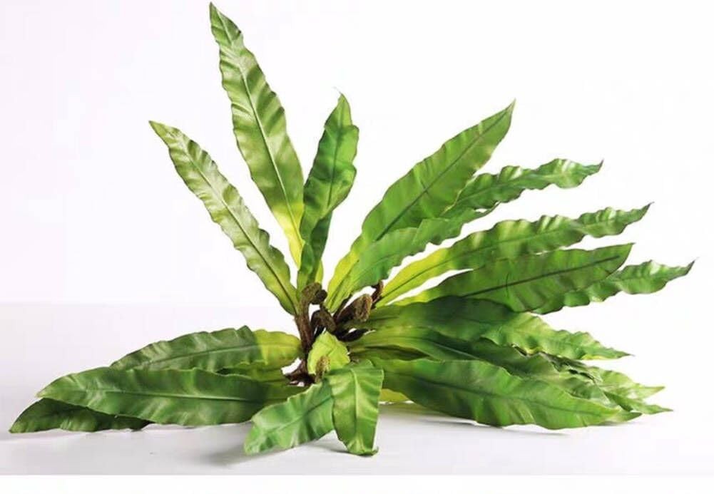 2Pcs Artificial Fern Green Plant Bird’s-nest Fern Asplenium Nidus Faux Silk T…