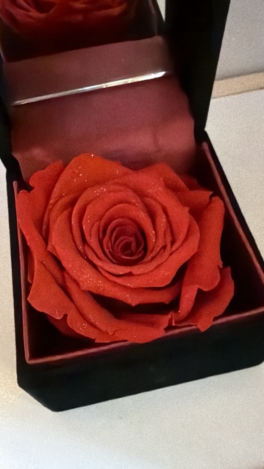 Real Preserved Flower Eternal Rose / Black Velvet Jewelry Box Case [Pre-owned]