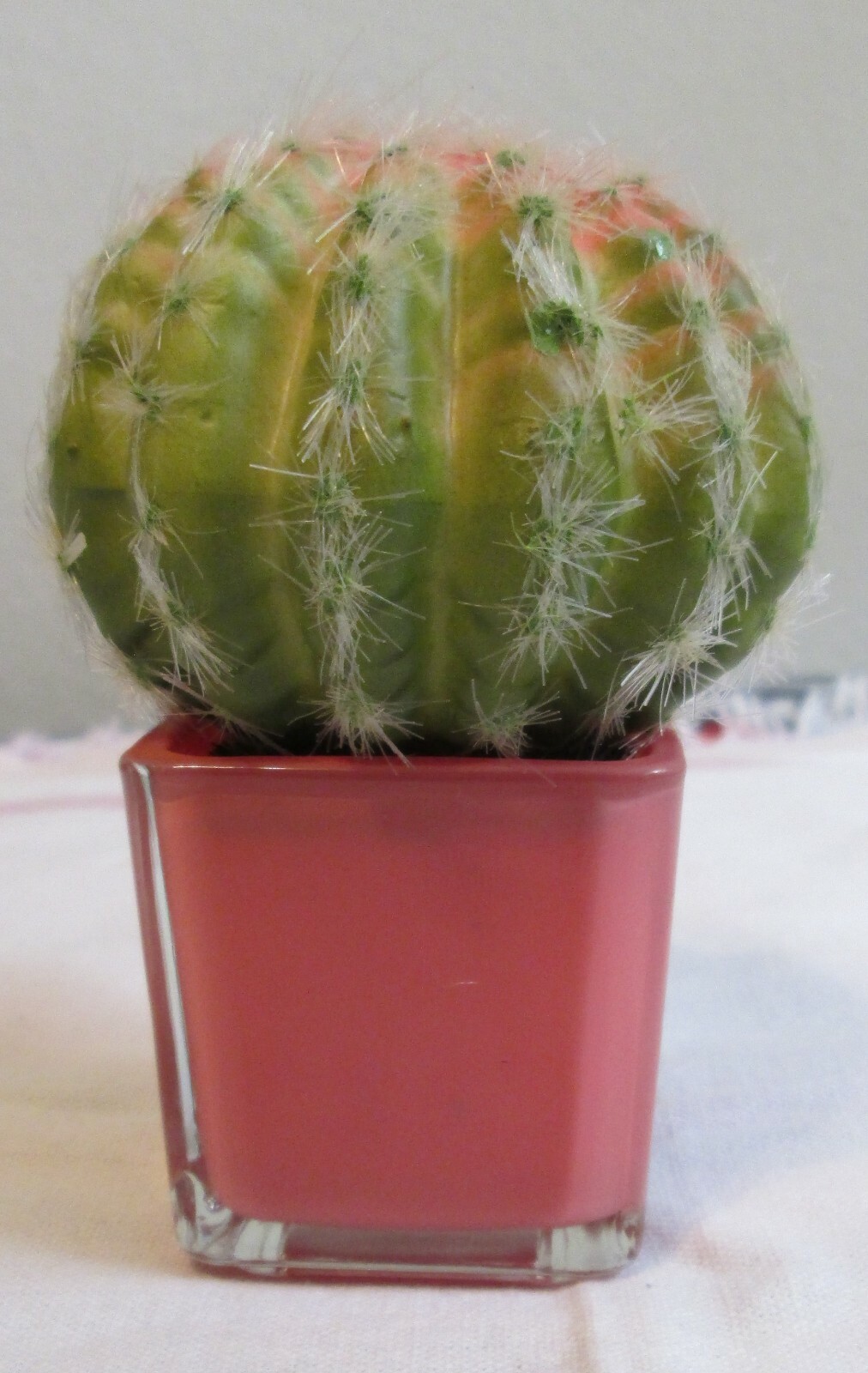 Pier1, Faux mini succulent in coral pot/ 4″x2.75″x2.75″