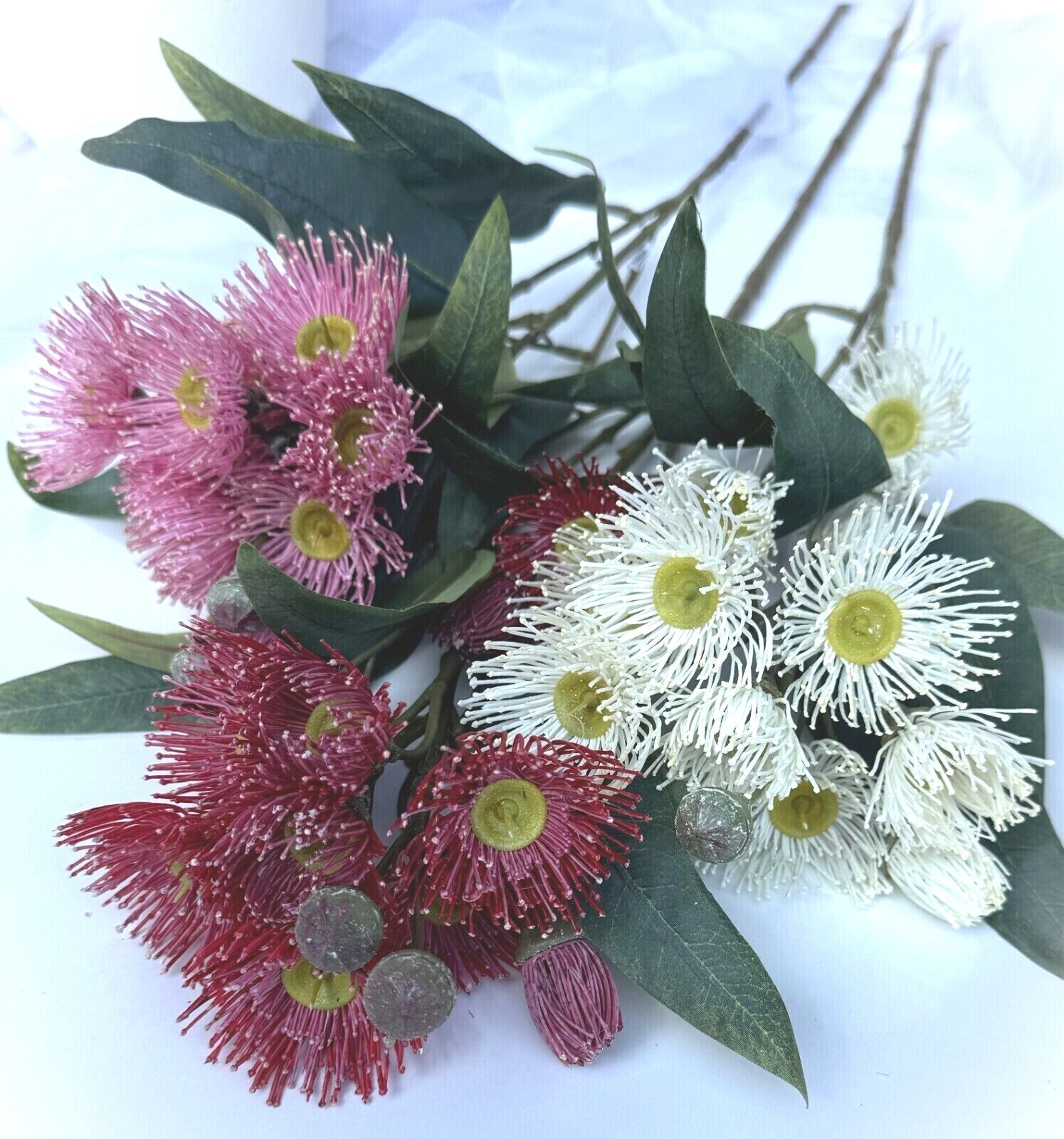 Australian Native Flower Gum Blossoms Stem Eucalyptus Pink Cream Red Blossoms x1
