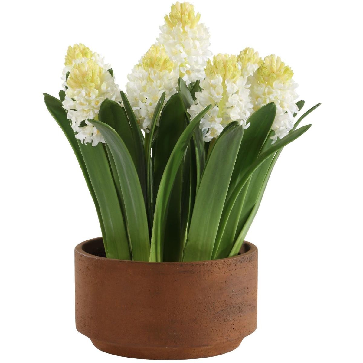 Uttermost 60242 Sincerity White and Green and Terracotta Potted Hyacinth Plant