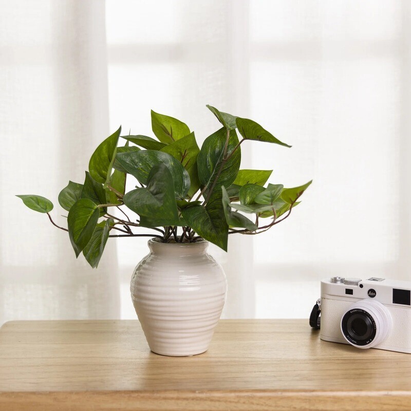 11in Indoor Artificial Golden Pothos in Ceramic Pot Distinctly Decor Hotel New