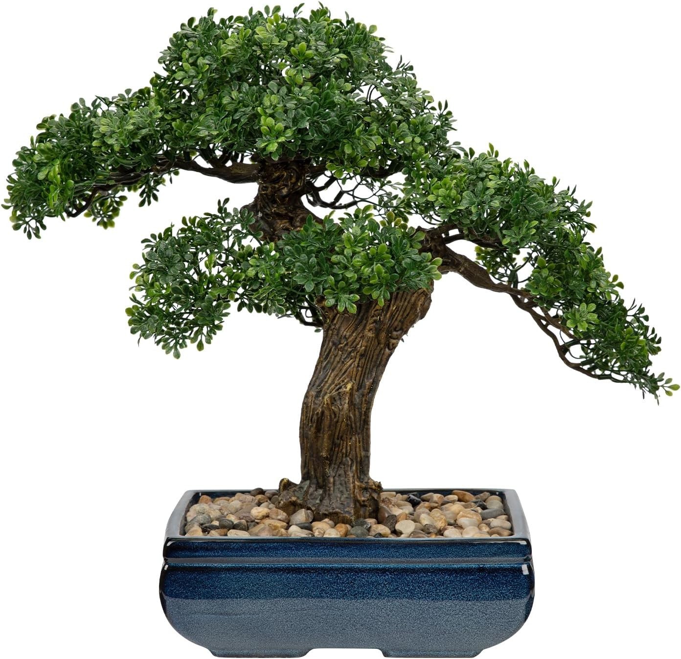 Mini Juniper Bonsai Tree with Blue Ceramic Pot**-/`