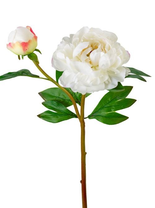 Artificial peony stem with bud with a hint of pink – REAL TOUCH