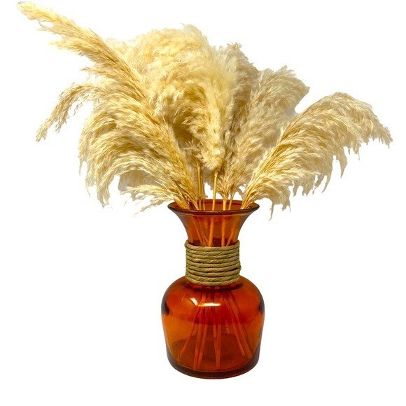 Orange Flower Glass Vase. With Natural Dried Pampas Grass Decor.