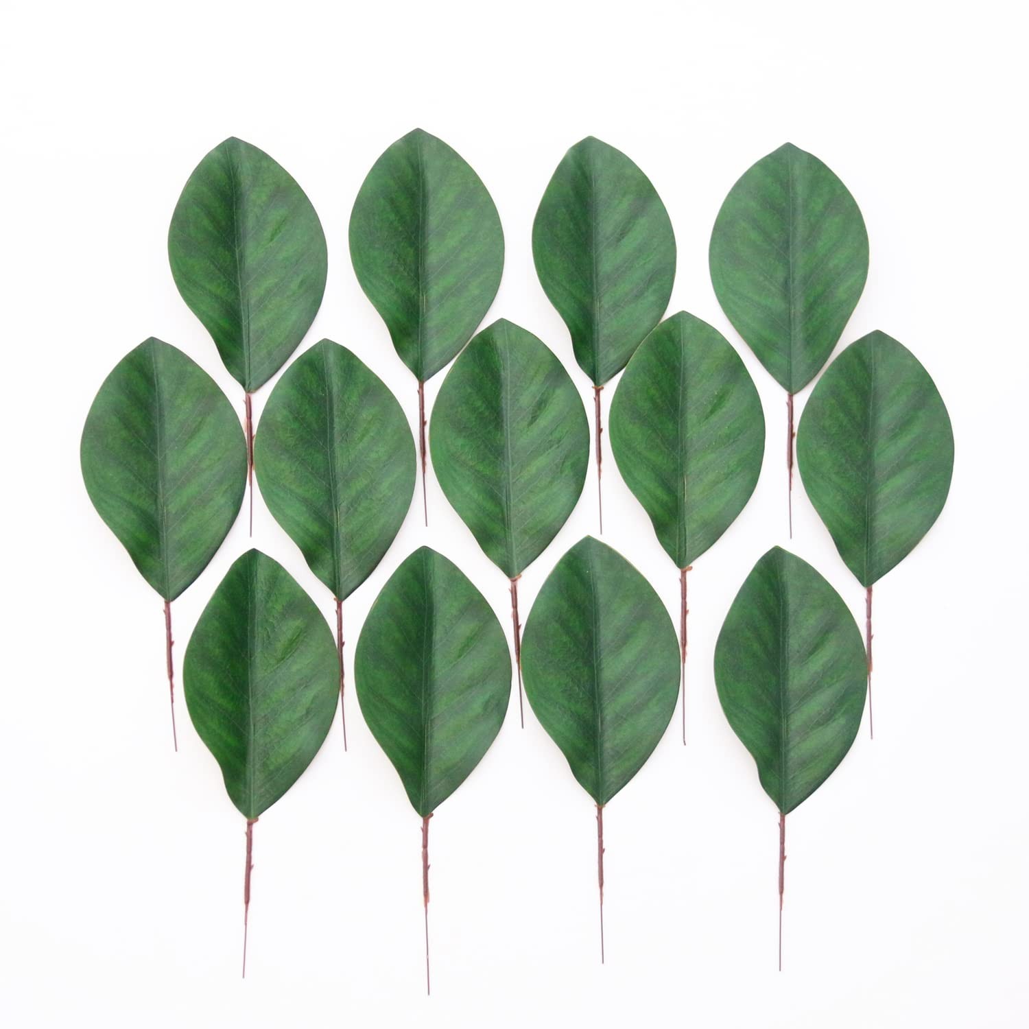 Artificial Green Magnolia Leaves Pack of 40 for Wedding Decor, Home Decor, In…